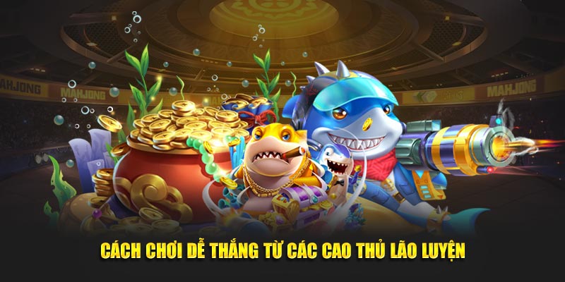 Cách chơi dễ thắng từ các cao thủ lão luyện