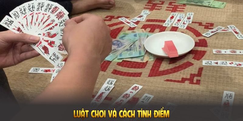 Luật chơi và cách tính điểm là điều hội viên cần nắm để bắt đầu game