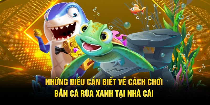 Những điều cơ bản mà mọi người cần biết về bắn cá